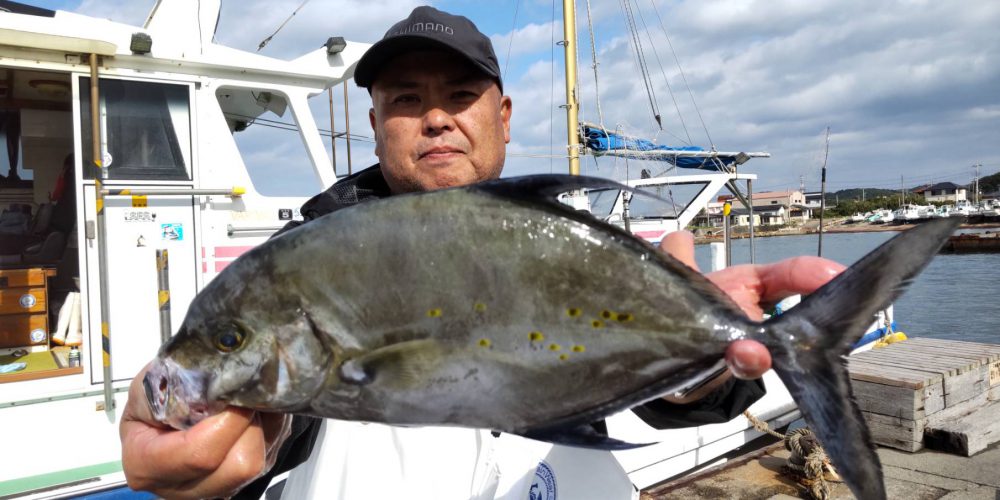 １１月１２日の釣果