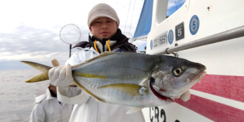 １１月２４日の釣果